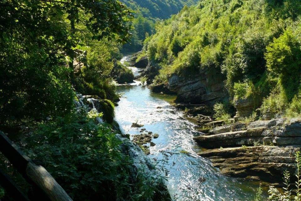 M&S&N Leilighet Grabovac  Rom bilde